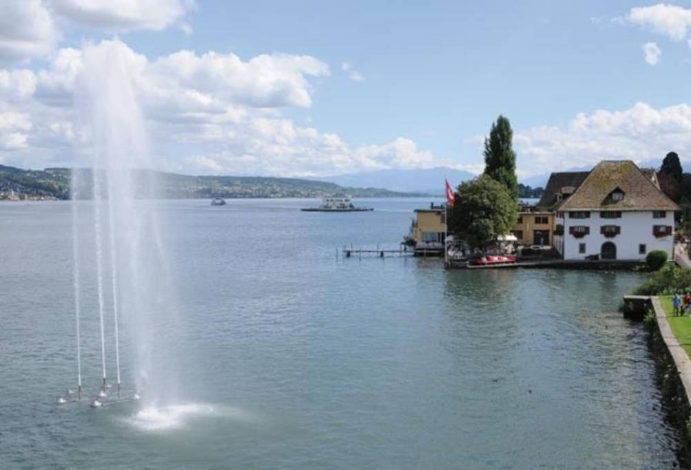 Lovely 60Ies Villa On The Lake, Pool And Sauna Horgen Zewnętrze zdjęcie