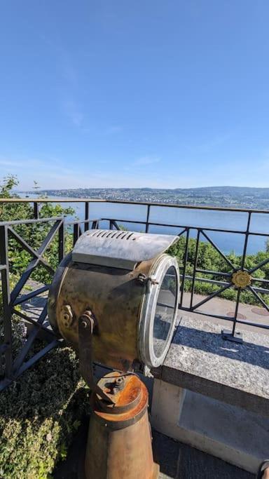 Lovely 60Ies Villa On The Lake, Pool And Sauna Horgen Zewnętrze zdjęcie