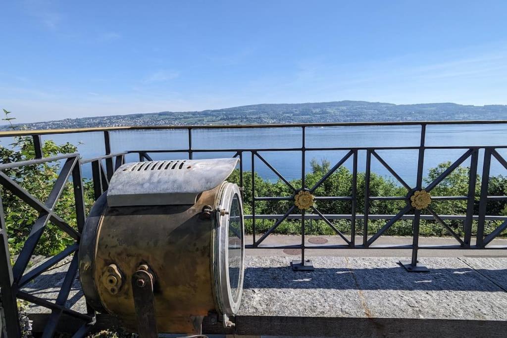 Lovely 60Ies Villa On The Lake, Pool And Sauna Horgen Zewnętrze zdjęcie