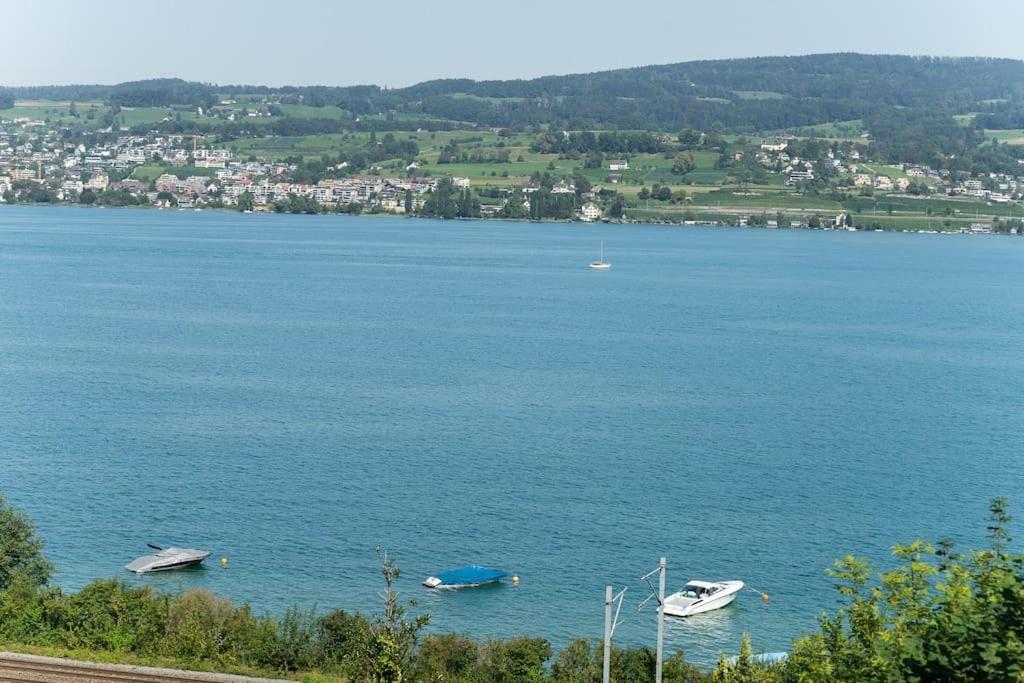 Lovely 60Ies Villa On The Lake, Pool And Sauna Horgen Zewnętrze zdjęcie